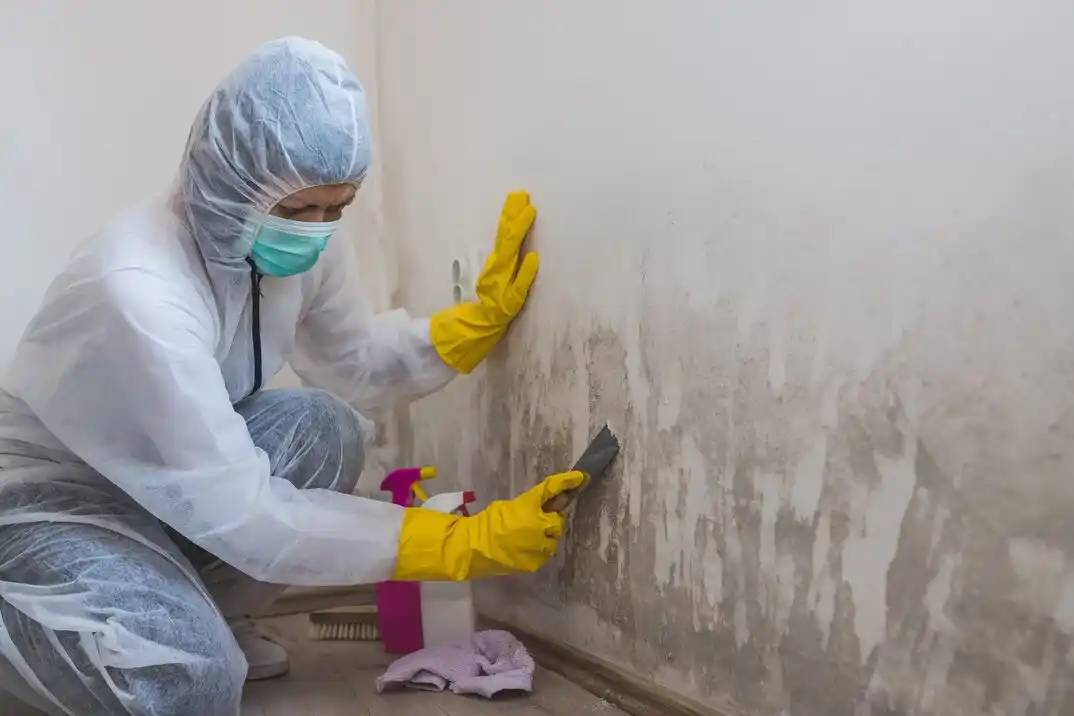 water damage restoration service Cottontown - Bellevue